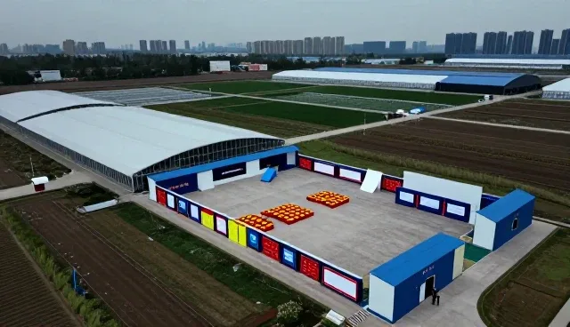 系统集成化方案选型中的应用场景分析与关注点